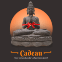 XL Boeddha Kwan Yin Tuinbeelden voor Buiten – Quan Yin beeld – Genade - Groot Donker Grijs Tuinbeeld - 74cm 6