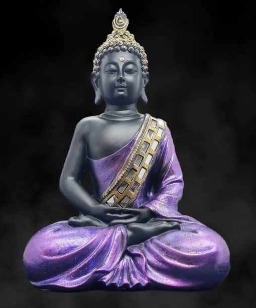 Boeddha beeld Thaise Boeddha Dhyana mudra 28cm 4