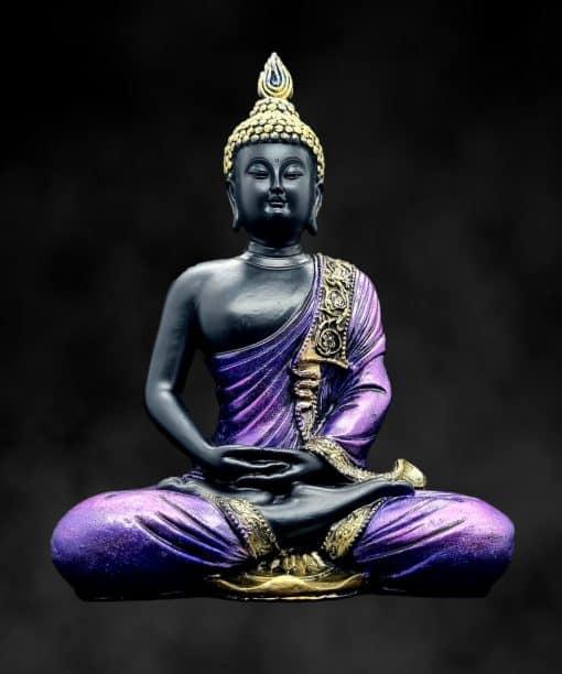 Zittende Thais Boeddha beeld Dhyana mudra paars zwart 21.5cm